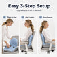 🪑 ¡50 % DE DESCUENTO AHORA! ✨ Cojín Ergonómico de Espuma Viscoelástica con Soporte Lumbar – Cómodo y con Gran Sujeción para Hogar, Oficina y Coche 💺🛡️